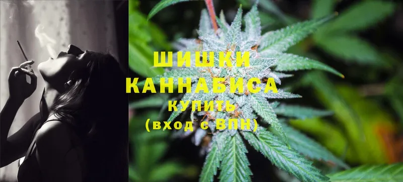 где можно купить наркотик  MEGA как войти  Шишки марихуана OG Kush  Будённовск 